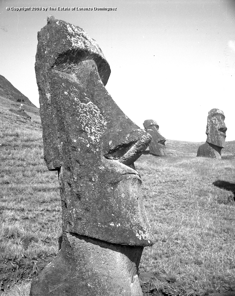 RRE_Angel_05.jpg - Easter Island. 1960. Moai on the exterior slope of Rano Raraku. Identified by Lorenzo Dominguez as "The Angel."